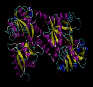 Inverse Molecular Design & Inference: building a Molecular Foundry @ CECAM-IRL