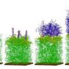 Coarse-Graining module, a Component of the Hierarchical Equilibration Strategy for Polymer Melts