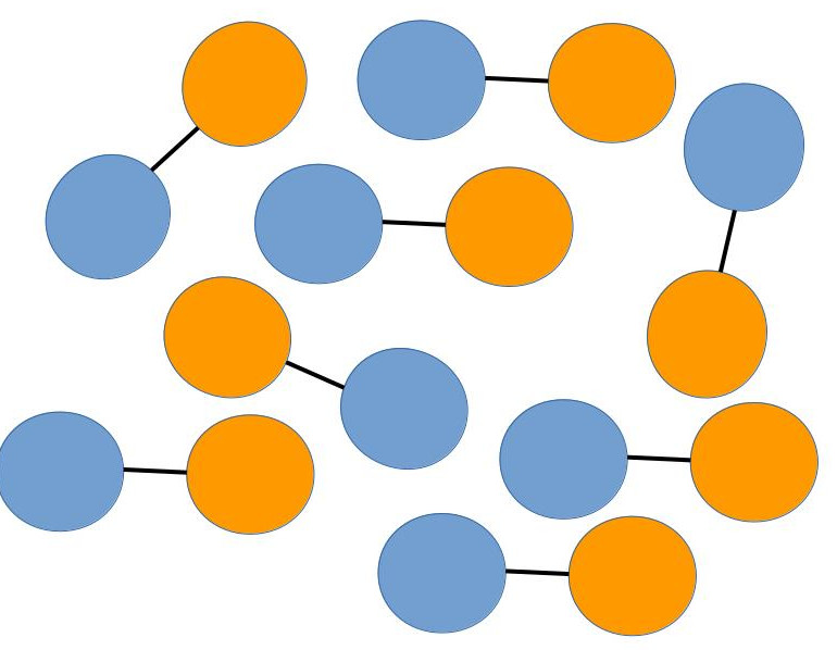 dimer_fluid