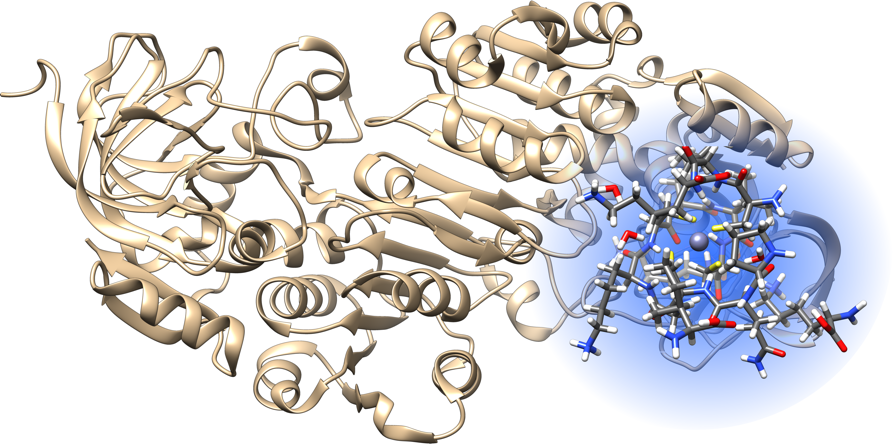 The simulation of metal ions in protein-water systems using machine learning: An E-CAM case study and conversation