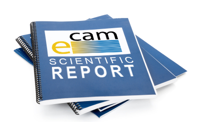 Scientific reports from the 2018 E-CAM workshops are now available on our website