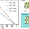 Upcoming event: Extended Software Development Workshop in Mesoscopic simulation models and HPC