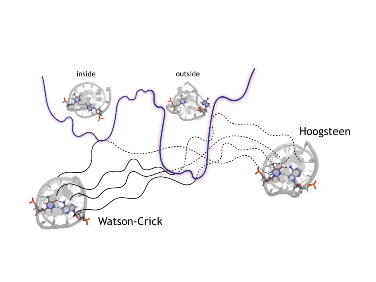 Nucleic Acids Research, 2019, Vol. 47, No. 21 11069–11076, Oxford University Press