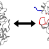 Development of an HTC-based, scalable committor analysis tool in OpenPathSampling opens avenues to investigate enzymatic mechanisms linked to Covid-19