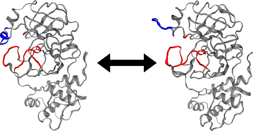 Development of an HTC-based, scalable committor analysis tool in OpenPathSampling opens avenues to investigate enzymatic mechanisms linked to Covid-19